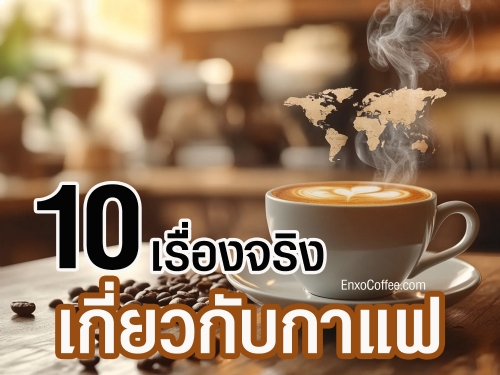 เปิดโลกกาแฟกับ 10 เรื่องจริงที่คุณอาจไม่เคยรู้ ตั้งแต่ประวัติศาสตร์ วัฒนธรรม ไปจนถึงข้อเท็จจริงสนุกๆ ที่ทำให้กาแฟเป็นเครื่องดื่มที่คนทั่วโลกหลงรัก