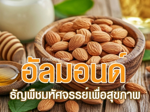 อัลมอนด์ อุดมด้วยโปรตีน ไขมันดี วิตามินอี และแมกนีเซียม ช่วยบำรุงหัวใจ สมอง ผิวพรรณ และช่วยควบคุมน้ำหนัก ค้นพบประโยชน์ของอัลมอนด์และวิธีรับประทานเพื่อสุขภาพที่ดีกว่าเดิม