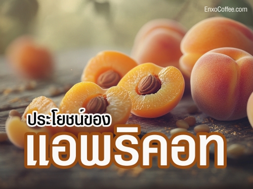 แอพริคอท ผลไม้สีทองที่อุดมไปด้วยวิตามินและสารต้านอนุมูลอิสระ ช่วยบำรุงสายตา ผิวพรรณ และระบบย่อยอาหาร เหมาะสำหรับการดูแลสุขภาพ รับประทานได้ทั้งแบบสดและแบบแห้ง