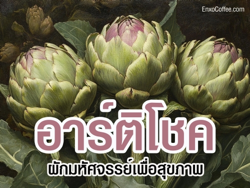 ประโยชน์ของอาร์ติโชค ผักต้านอนุมูลอิสระที่ช่วยบำรุงตับ ลดคอเลสเตอรอล และเสริมสร้างสุขภาพหัวใจ