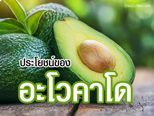 อะโวคาโด (Avocado) เป็นผลไม้ที่มีเนื้อเนียนนุ่มและรสชาติมันคล้ายเนย เป็นที่นิยมในกลุ่มคนรักสุขภาพทั่วโลก เนื่องจากอุดมไปด้วยไขมันดี วิตามิน และแร่ธาตุที่มีประโยชน์ต่อร่างกาย