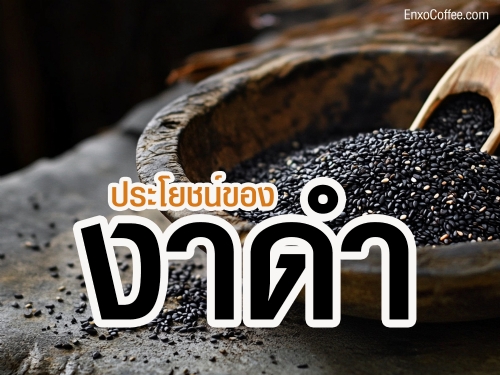 งาดำ ธัญพืชเมล็ดเล็กที่อัดแน่นไปด้วยคุณประโยชน์ต่อร่างกาย อุดมไปด้วยสารต้านอนุมูลอิสระ ช่วยบำรุงกระดูก เสริมสร้างภูมิคุ้มกัน ลดน้ำตาลในเลือด และช่วยให้ผมแข็งแรง ไม่เพียงแต่ดีต่อสุขภาพ แต่ยังช่วยชะลอวัยและบำรุงผิวพรรณอีกด้วย ใส่ในอาหารหรือเครื่องดื่มก็ง่ายและอร่อย!