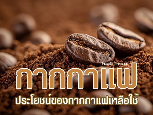 เรียนรู้ประโยชน์ของกากกาแฟเหลือใช้ที่คุณอาจไม่เคยรู้ ใช้กากกาแฟทำปุ๋ย ขัดผิว ขจัดกลิ่น และไล่แมลง เพื่อชีวิตที่สะอาดและเป็นมิตรกับสิ่งแวดล้อม