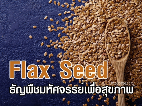 แฟลกซ์ซีด ธัญพืชที่อุดมไปด้วยโอเมก้า-3 ไฟเบอร์ และสารต้านอนุมูลอิสระ ช่วยบำรุงหัวใจ ควบคุมน้ำตาลในเลือด ต้านมะเร็ง และส่งเสริมสุขภาพผิว