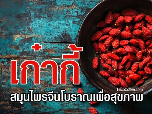 เก๋ากี้ สมุนไพรจีนที่อุดมไปด้วยสารต้านอนุมูลอิสระ ช่วยบำรุงสายตา เสริมภูมิคุ้มกัน ลดน้ำตาลในเลือด และช่วยชะลอวัย เรียนรู้ประโยชน์ของเก๋ากี้และวิธีรับประทานเพื่อสุขภาพที่ดี