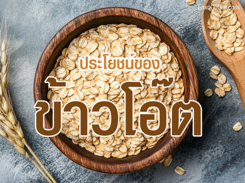 ประโยชน์ของข้าวโอ๊ตต่อสุขภาพ รวมถึงวิธีการบริโภคและข้อควรระวัง เพื่อช่วยให้คุณดูแลสุขภาพได้อย่างมีประสิทธิภาพ