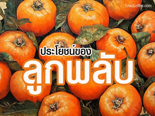 เรียนรู้เกี่ยวกับประโยชน์ของลูกพลับ ผลไม้ที่อุดมไปด้วยวิตามิน C และสารต้านอนุมูลอิสระ ช่วยเสริมภูมิคุ้มกันและบำรุงผิวพรรณ ลดความเสี่ยงจากโรคหัวใจ.
