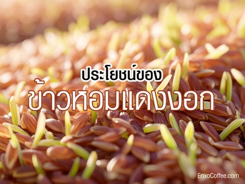 ข้าวหอมแดงงอก อาหารเพื่อสุขภาพที่อุดมไปด้วย GABA, แอนโทไซยานิน และใยอาหาร ช่วยบำรุงสมอง ลดความเครียด เสริมสร้างภูมิคุ้มกัน ควบคุมน้ำหนัก และบำรุงหัวใจ มารู้จักประโยชน์ของข้าวหอมแดงงอกกัน