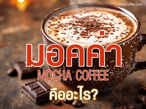 เรียนรู้วิธีทำกาแฟ Mocha โคตรอร่อยด้วยสูตรง่ายๆ ที่จะทำให้คุณหลงรักกาแฟมอคค่าหวานมัน! รวมเทคนิคการทำกาแฟมอคค่าที่บ้านพร้อมเคล็ดลับการเสิร์ฟวิปครีมและช็อกโกแลตเพื่อเพิ่มความหอมและรสชาติเข้มข้น