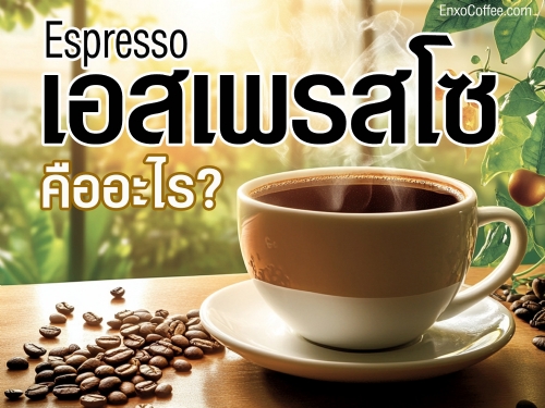 กาแฟดำไม่เพียงแต่ทำให้ตื่นตัวและสดชื่น แต่ยังมีประโยชน์ต่อสุขภาพมากมาย เช่น ลดความเสี่ยงโรคหัวใจ โรคเบาหวาน มะเร็งและช่วยกระตุ้นสมองให้ทำงานได้ดีขึ้น ช่วยในการเผาผลาญไขมันและควบคุมน้ำหนัก
