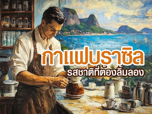 กาแฟคุณภาพเยี่ยมที่โด่งดังไปทั่วโลก เป็นกาแฟคุณภาพที่มีรสชาติโดดเด่นเฉพาะตัว มีความเข้มข้นพอดีไม่ขมจนเกินไป กลิ่นหอม ละมุนกลมกล่อมนุ่มนวลเรียบง่ายไม่ต้องปรุงแต่งมาก มีบอดี้ของกาแฟเบาๆไม่หนักมาก และมีความหวานนิดๆแบบธรรมชาติที่หวานนิดคล้ายน้ำตาลทรายแดง