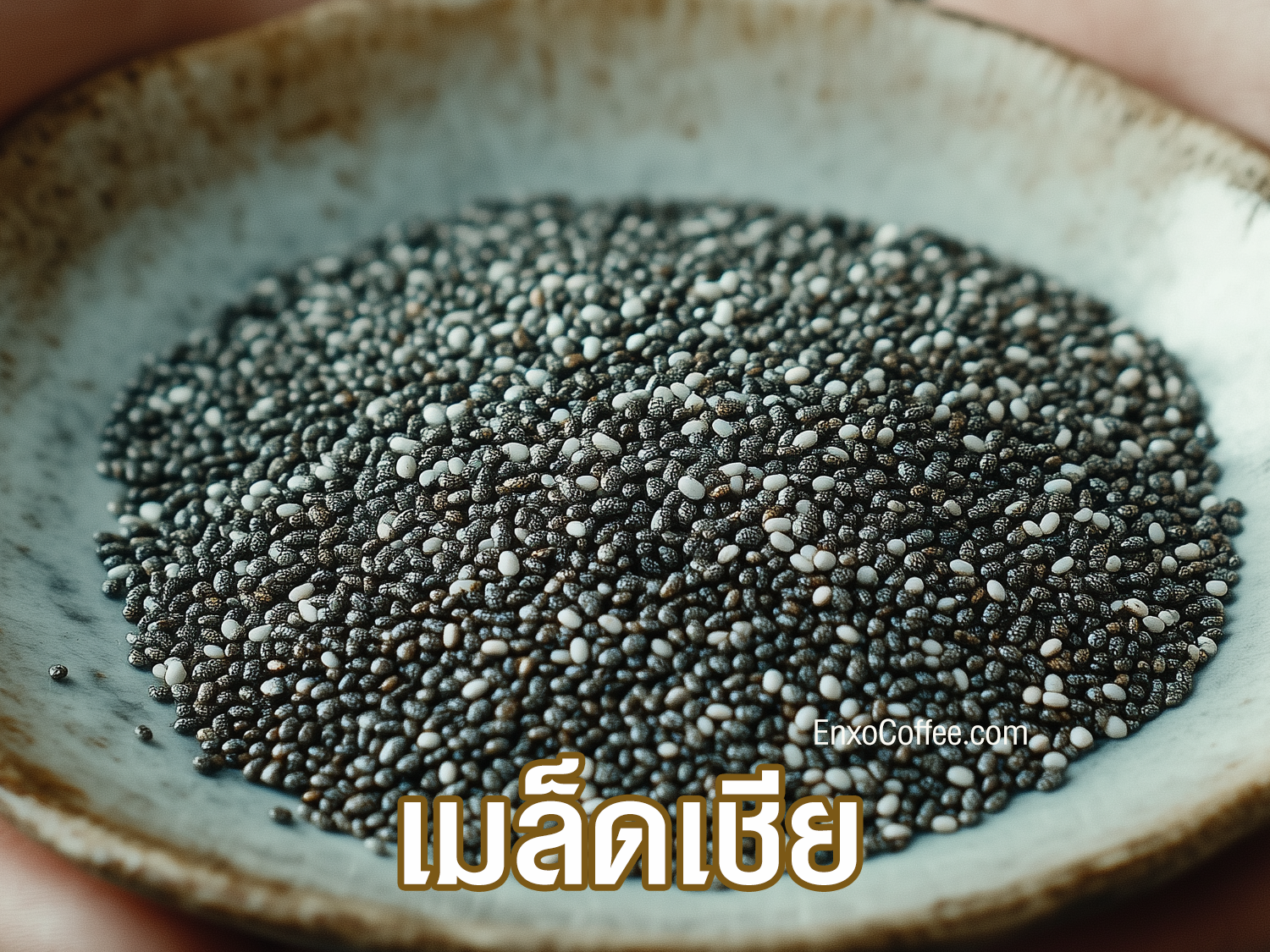 ประโยชน์ของเมล็ดเชีย